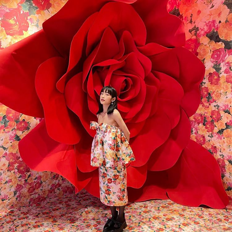 Γιγαντιαία στηρίγματα φόντου τριαντάφυλλου